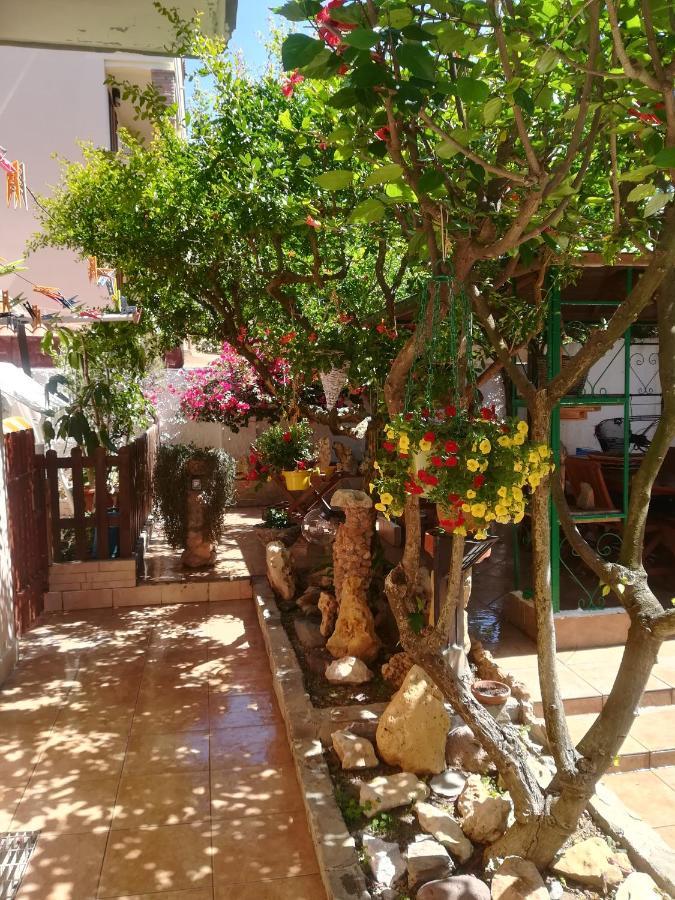 B&B Lety Alghero Bagian luar foto