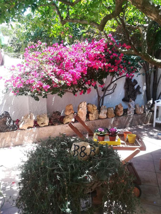 B&B Lety Alghero Bagian luar foto