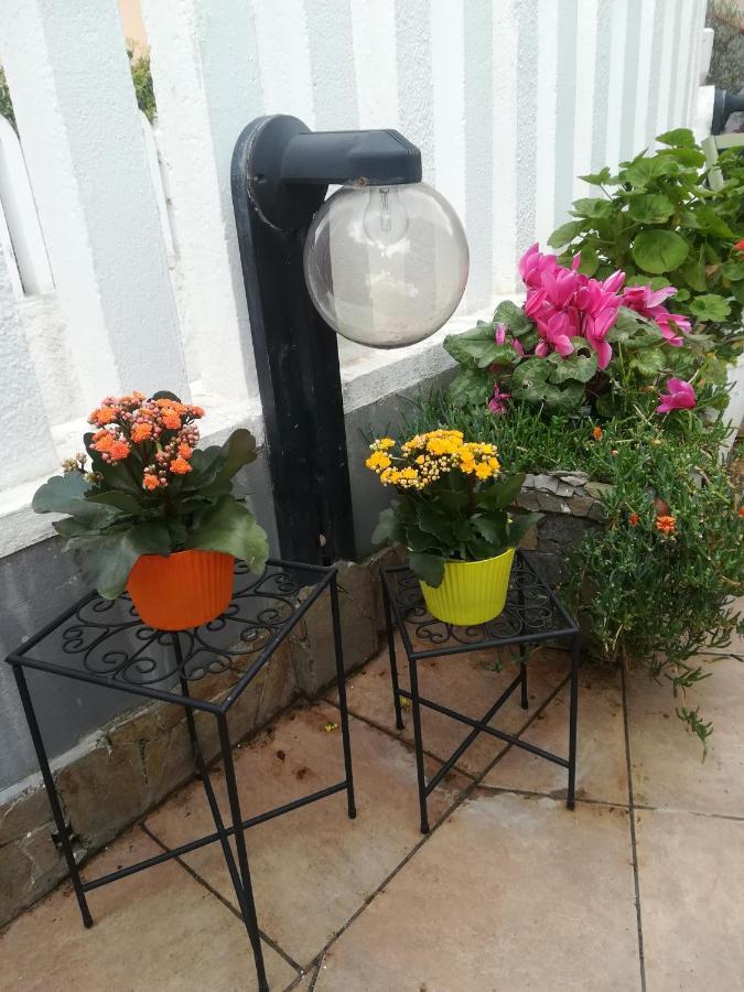B&B Lety Alghero Bagian luar foto