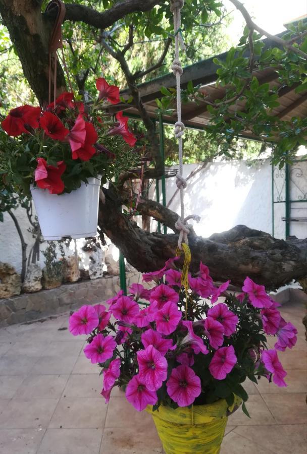 B&B Lety Alghero Bagian luar foto