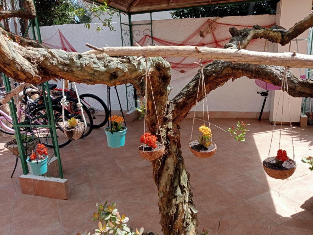 B&B Lety Alghero Bagian luar foto