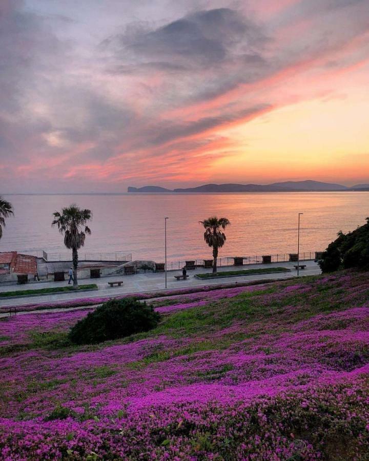 B&B Lety Alghero Bagian luar foto